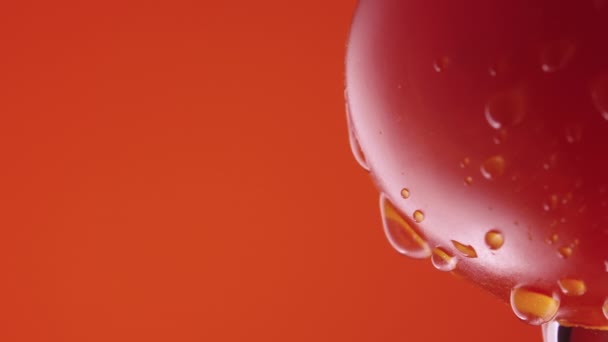 Tomate maduro en gotas de agua sobre fondo rojo estudio. Macro de gotas de humedad goteando en la superficie del tomate rojo. Vegetales húmedos para salvapantallas y papel pintado. En cámara lenta. De cerca.. — Vídeos de Stock