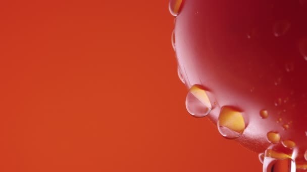 Ripe tomato in drops of water on red studio background. Macro shot of dripping moisture droplets on the surface of red tomato. Wet vegetable for screensaver and wallpaper. Slow motion. Close up. — Stock Video