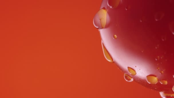 Pomodoro maturo in gocce d'acqua su fondo rosso studio. Macro shot di gocciolamento goccioline di umidità sulla superficie del pomodoro rosso. Vegetale umido per screensaver e carta da parati. Al rallentatore. Da vicino.. — Video Stock