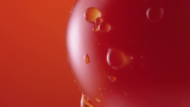 Ripe tomato in drops of water rotateson red studio background. Close up shot of red tomato with dripping droplets of moisture on the surface. Wet vegetable for screensaver and wallpaper. Slow motion. — Stock Video