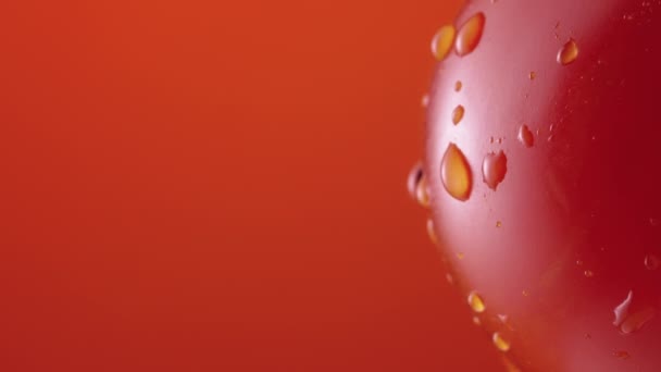 Mogen tomat i droppar vatten roterar på röd studio bakgrund. Närbild skott av röd tomat med droppande droppar fukt på ytan. Våt grönsak för skärmsläckare och tapeter. Långsamma rörelser. — Stockvideo