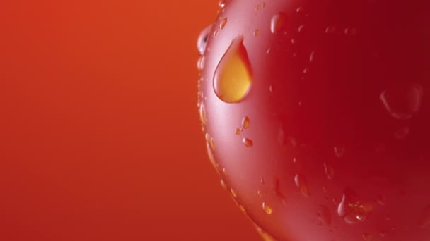 Tomate maduro en gotas de agua rota sobre fondo rojo estudio. Primer plano de tomate rojo con gotas de humedad en la superficie. Vegetales húmedos para salvapantallas y papel pintado. Movimiento lento. — Vídeo de stock