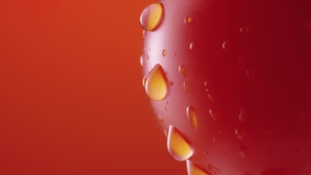 Ripe tomato in drops of water rotateson red studio background. Close up shot of red tomato with dripping droplets of moisture on the surface. Wet vegetable for screensaver and wallpaper. Slow motion. — Stock Video