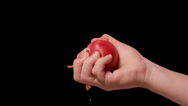Male hand crushing fresh red tomato and exposing all the seeds juice and flesh inside the healthy vegetable. Squeezing juice from tomato on studio isolated black background. Close up. Slow motion. — Stock Video