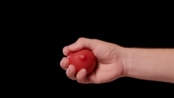 Mano masculina aplastando tomate rojo fresco y exponiendo todo el jugo de semillas y carne dentro de la verdura saludable. Exprimir el jugo de tomate en el estudio de fondo negro aislado. De cerca. Movimiento lento. — Vídeo de stock