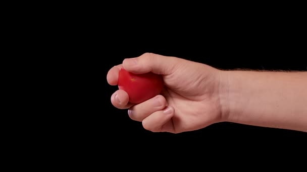 Mão masculina esmagando tomate vermelho fresco e expondo todo o suco de sementes e carne dentro do vegetal saudável. Espremendo suco de tomate em estúdio isolado fundo preto. Fecha. Movimento lento. — Vídeo de Stock