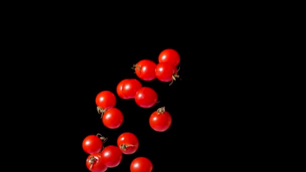 Tomates vermelhos maduros deliciosos pulam e voam sobre fundo preto várias vezes. Tomates frescos molhados jogados em câmera lenta, gotas de água em vegetais. Fechar. — Vídeo de Stock