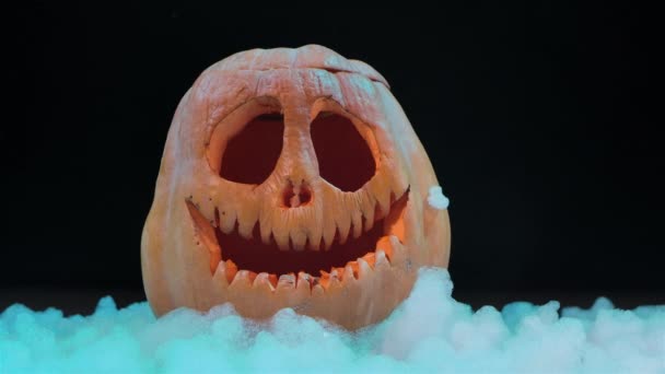 Engraçado Jack O Lanterna abóbora halloween na neve. Decoração esculpida festiva de uma verdura cor de laranja no estúdio. Fechar. — Vídeo de Stock