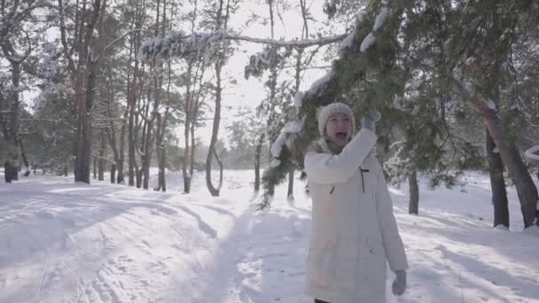 Söt flicka i vinterrock och hatt vidrör de snötäckta tallgrenarna och ler glatt. Snö faller från pinjeträd. Promenera i vintersnöig skog på solig dag. Vinterskog. Långsamma rörelser. — Stockvideo