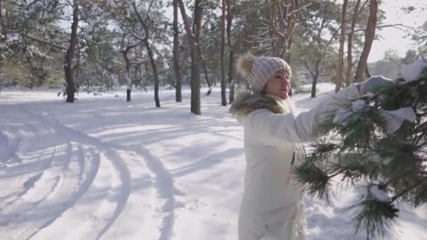 Nice girl in winter down coat is crushing snow from pine branch and rejoices. Happy female playing with snow in snowy pine forest on sunny day. Beautiful winter nature covered with snow. Slow motion. — Stock Video