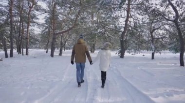 Güzel bir karlı ormanda el ele tutuşan bir çiftin arka görüntüsü. Kışlık elbiseli kız ve erkek dondurucu güneşli günün tadını çıkarıyorlar. Karla kaplı güzel kış doğası. Yavaş çekim.