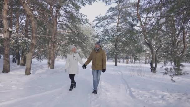 Paar bei einem Spaziergang in einem schönen verschneiten Wald Händchen haltend. Kerle und Mädchen in Winterkleidung genießen den frostigen, sonnigen Tag. Schöne Winternatur mit Schnee bedeckt. Spaziergang im Winterwald. Zeitlupe. — Stockvideo