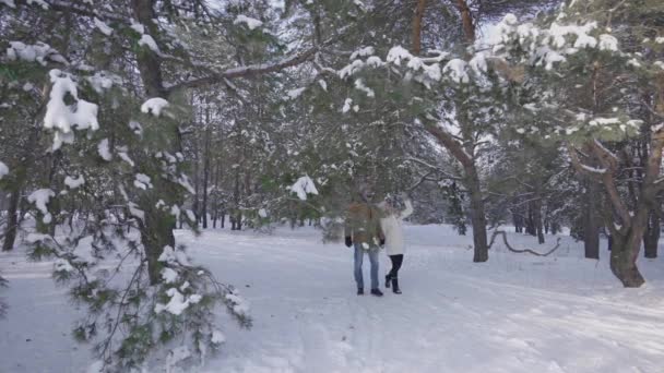 Egy pár sétált egy gyönyörű havas erdőben kéz a kézben. A téli ruhás fiúk és lányok élvezik a fagyos napsütést. Gyönyörű téli természet hóval borítva. Séta a téli erdőben. Lassú mozgás.. — Stock videók