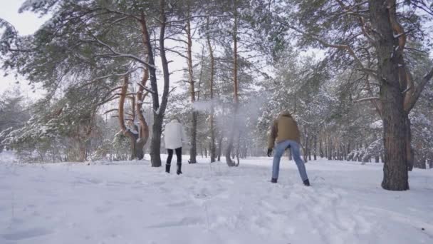 穿着温暖冬衣的男孩和女孩们在玩雪球，嬉笑，玩得很开心。这对快乐的夫妇喜欢在雪地的松林里散步.在阳光明媚的日子里,运动会在寒冷的空气中举行.美丽的冬季自然 — 图库视频影像