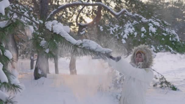Roztomilá dívka v zimě se kabát drtí sníh z borovice a raduje se. Šťastná fena si hraje se sněhem v zasněženém borovém lese. Krásná zimní příroda pokrytá sněhem. Zavřít. Zpomalený pohyb. — Stock video