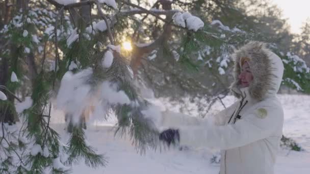 Cute girl w zimie w dół płaszcz kruszenia śniegu z gałęzi sosny i raduje. Szczęśliwa samica bawiąca się śniegiem w śnieżnym lesie sosnowym. Piękna zimowa przyroda pokryta śniegiem. Zamknij drzwi. Zwolniony ruch. — Wideo stockowe