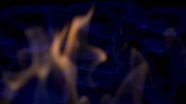 Λάμψη και ανάφλεξη της φωτιάς φωτίζοντας χαρτονομίσματα χαρτί usd, eur και χρυσό bitcoin cryptocurrency. Χρήματα στην πυρκαγιά, χαρτονομίσματα τυλιγμένα σε γλώσσες φλόγας, βάζοντας φωτιά στο νόμισμα. Κλείσιμο, αργή κίνηση. — Αρχείο Βίντεο