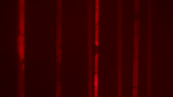 Rotes Laserlicht strahlt auf dunklem, rauchigen Hintergrund. Bunte Laserlichter und Rauch auf der Party. Professionelle Farbbeleuchtung und Soundeffekte. Hintergrund der Konzertbeleuchtung. Aus nächster Nähe. Zeitlupe. — Stockvideo