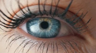 Mavi bir iris ve maskarayla boyanmış uzun kirpiklerle gözlerini açıp kapayarak. Gri göz, irisin, göz bebeğinin büyümesi ve büzülmesi. Göz küresi, retina, göz kapağı. Yavaş çekim.