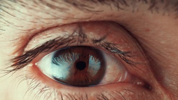 Hermoso ojo masculino con iris marrón y retina, pestañas largas y negras, globo ocular. El hombre abre los ojos, mirando a cámara. Ojo marrón cerca de iris y dilatación de la pupila y se contrae. Movimiento lento. — Vídeo de stock