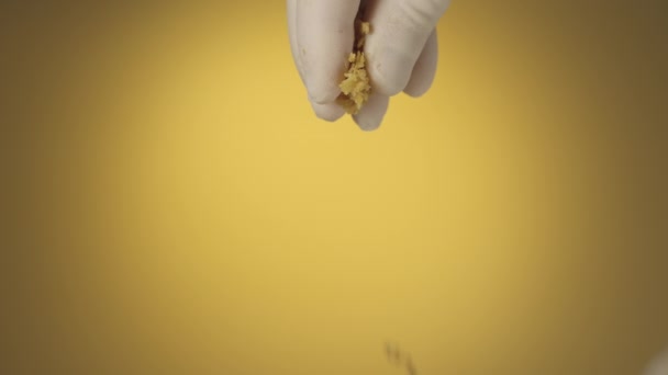 La main masculine d'un chef de restaurant asiatique saupoudre un plat de flocons croustillants sur fond brun. Doigts saupoudrés d'épices, morceaux de bacon, ail sec, tempura. Mouvement lent. — Video