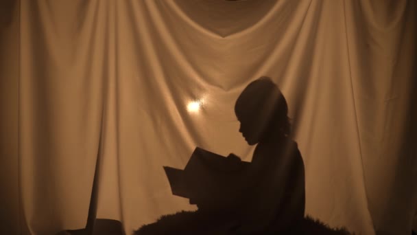本を読んでいる少年のシルエット。小学生の子供は、自宅でカーテンの後ろに座ってレジャーを過ごす。影の人形劇、影と光の遊び。閉じろ!. — ストック動画