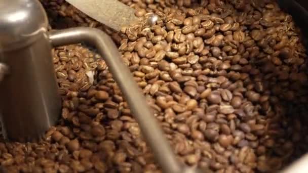 Kaffebryggare på kafferostning process. Rostade spinning kylare professionella maskiner och bruna kaffebönor rörelse närbild på fabriken. Mat och dryck bakgrund för café. Långsamma rörelser. — Stockvideo