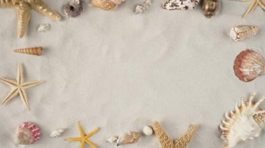Mans el kumu temizliyor reklam alanını gösteriyor, çalışma alanı modelleniyor. Deniz kabukları ve deniz yıldızlarıyla dolu kumlu bir arka plan. Tatil ya da seyahat reklamı için. Kapat..