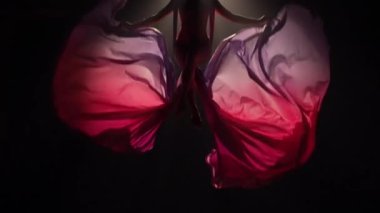 Genç bayan sirk jimnastikçisi havadan ipekle dönüyor ve hareketin inceliğini gösteriyor. Akrobat bir yükseklikte numaralar sergiliyor, arka planda siyah arka planda kanatlar gibi kırmızı ipekten kanat çırpıyor. Yavaş çekim.