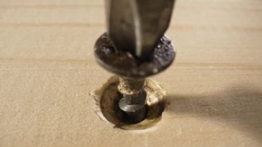 Tornavida tahtadan siyah vidaları söküyor. Tahta bir yüzeyden metal vidayı sökmek. Spiral yapı malzemeleri, marangoz işleri. Aletleri tamir ediyorum. Ağır çekim. Son derece yakın çekim..