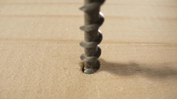 螺丝刀把黑色的自攻螺钉拧在木板上.用螺丝钉固定在木头上的钻孔非常接近。修理工作，建筑，螺丝，紧固。慢动作. — 图库视频影像