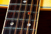 Skvrnitý červený beruška sedí na prkně se strunami klasické akustické kytary. Pozadí strunného hudebního nástroje s broukem na dřevěném prkně. Hmyz na akustickou kytaru zblízka.