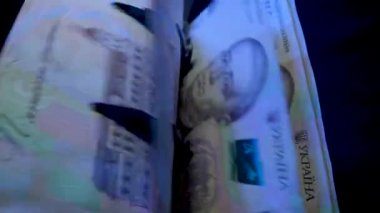 Banknotlar için sayma makinesi. Ukrayna parası bir hesap makinesinde. Ukrayna para biriminin dönüştürülmesi. Ukrayna parası banknotlar için bir makine tarafından sayılır. Ukrayna Hryvnia 'sı.