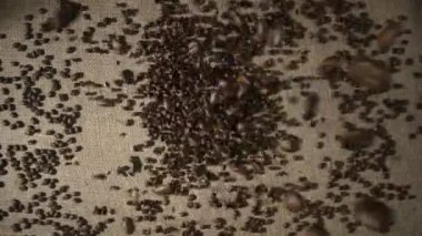 Kahverengi kavrulmuş kahve çekirdeklerinin üst görüntüsü bir çuval bezi üzerine düşüyor ve dağılıyor. Kahve çekirdekleri yavaş çekimde dökülüyor. Yiyecek ve içecek geçmişi. Robusta veya Aribica. Kapat..