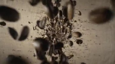 Kahverengi kavrulmuş kahve çekirdekleri çuval bezi üzerine dökülüp dağılıyorlar. Kahve çekirdekleri yavaş çekimde dökülüyor. Canlandırıcı bir sabah içeceği hazırlamak için. Kapat..