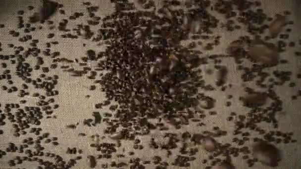 Top view of brown roasted coffee beans falling on a heap onto a burlap cloth and scattering. Coffee seeds spilling down in slow motion. Food and drink background. Robusta or Aribica. Close up. — 비디오