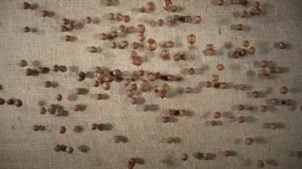Brown peeled hazelnuts falling and scattering on a burlap cloth. Top view of round nuts close up. Hazel seed pouring in slow motion. Dry hazel, healthy nuts, nutritious snack. — ストック動画