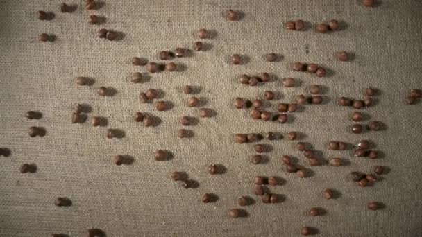 Brown peeled hazelnuts falling and scattering on a burlap cloth. Top view of round nuts close up. Hazel seed pouring in slow motion. Dry hazel, healthy nuts, nutritious snack. — Videoclip de stoc