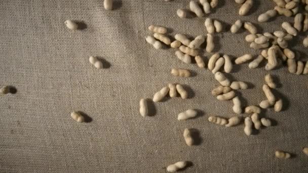 Unpeeled peanut falling and scattering on a burlap cloth. Top view of dried nuts in shell close up. Peanuts seed pouring in slow motion. Dry peanuts, healthy nuts, nutritious snack. — Vídeo de Stock