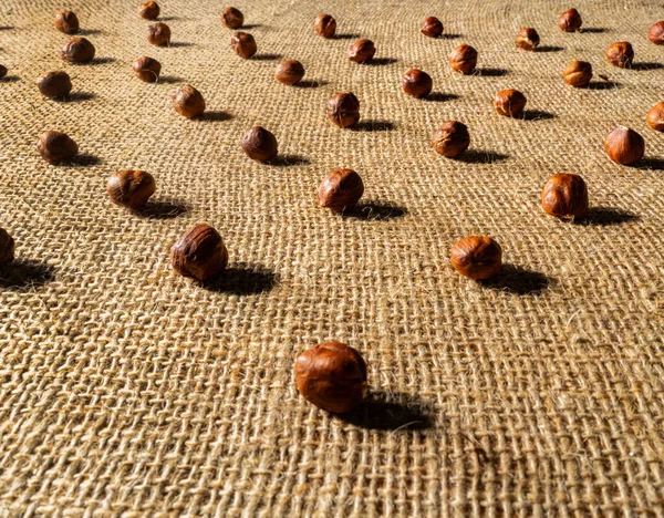 Brown peeled hazelnuts on a burlap cloth. Dry round hazel nuts close up. Hazel seed laid out in rows on a textured fabric with interlaced fibers. Background of healthy nutritious food. – stockfoto