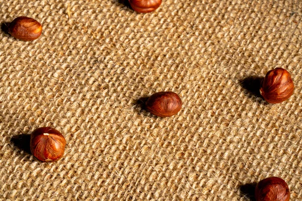 Brown peeled hazelnuts on a burlap cloth. Top view of round nuts close up. Hazel seed laid out in rows on a textured fabric with interlaced fibers. Dry hazel, healthy nuts, nutritious snack. – stockfoto