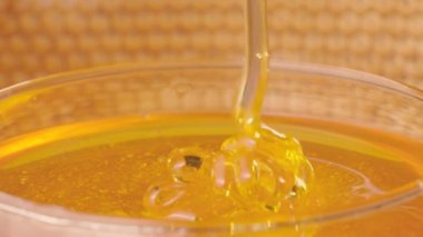 Kalın altın bal bir bardağa akıyor. Taze organik bal pekmezi fışkırıyor. Arıcılığın tatlı ürünü. Sağlıklı tatlı, tatlı yemek, dökülen doğal şurup..