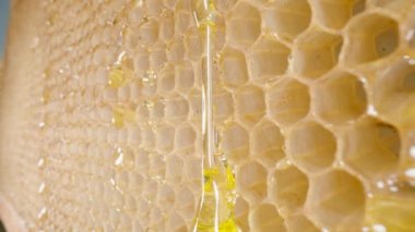 Tatlı organik bal, bal peteklerinden aşağı akıyor. Bal peteği hücreleri üzerinde akan altın taze bal nektarı kapanıyor. Arıcılık kavramı, organik bal, tarım, arıcılık.