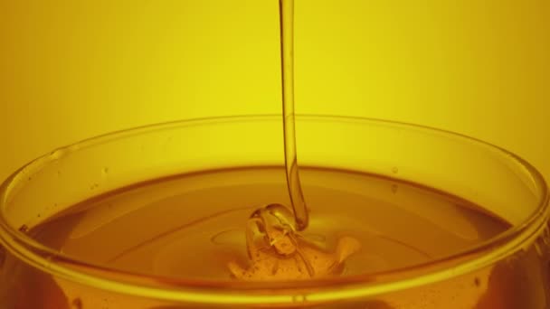 유리에 숟가락으로 물을 붓고 있는 꿀 방울. 두꺼운 꿀 당밀 이 유리잔에 뚝뚝 떨어지고 있다. 황금빛꿀 액을 클로즈업해서 양봉으로 만든 달콤 한 제품을 만들었습니다. 노란 배경에 설탕 시럽 이 부어 오르고 있다. — 비디오