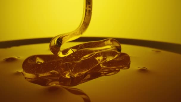 Honey dripping, pouring thick stream on yellow background. Viscous honey molasses flowing. Close up of golden honey liquid, sweet product of beekeeping. Sugar syrup is pouring flow. — Vídeo de Stock