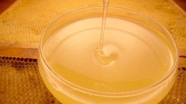 Honey dripping, pouring from honey dipper into a glass bowl standing on honeycombs. Healthy organic thick honey dipping from a wooden honey spoon, close up. Golden liquid, sweet molasses, sugar syrup.