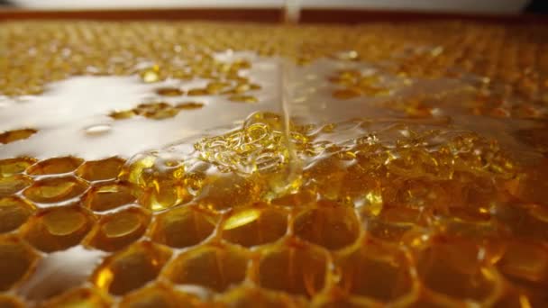 Stream of golden thick honey flowing down on the honeycombs. Natural organic honey, molasses, syrup or nectar fill the cells. Honey is spilled on honeycombs close up. Beekeeping product, healthy food. — стоковое видео