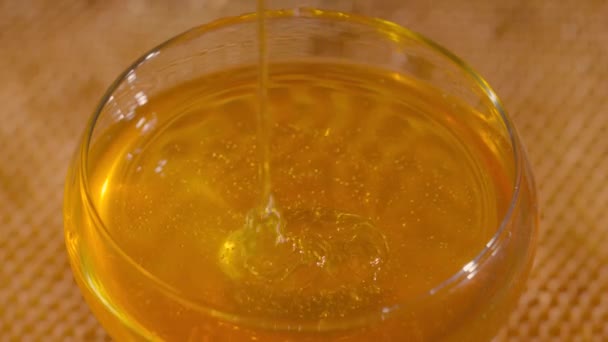 Honey dripping, falling into a glass bowl. Healthy organic thick honey pouring close up. Golden liquid, sweet molasses, sugar syrup. Organic bee product. Healthy dessert, sweet food. — Vídeo de Stock