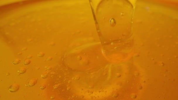 Honey dripping, pouring from spoon. Thick viscous honey molasses dripping. Close up of golden honey liquid, sweet product of beekeeping. Sugar syrup is pouring. Healthy and curative dessert. — стоковое видео