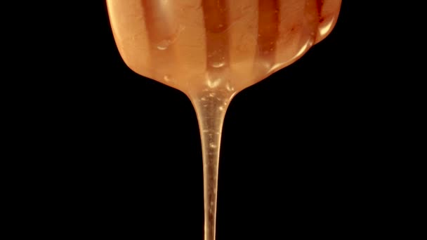 Honey dripping, pouring from a honey dipper on a black isolated background. Healthy organic thick honey dipping from a wooden honey spoon, close up. Golden liquid, sweet molasses, sugar syrup. — Stockvideo